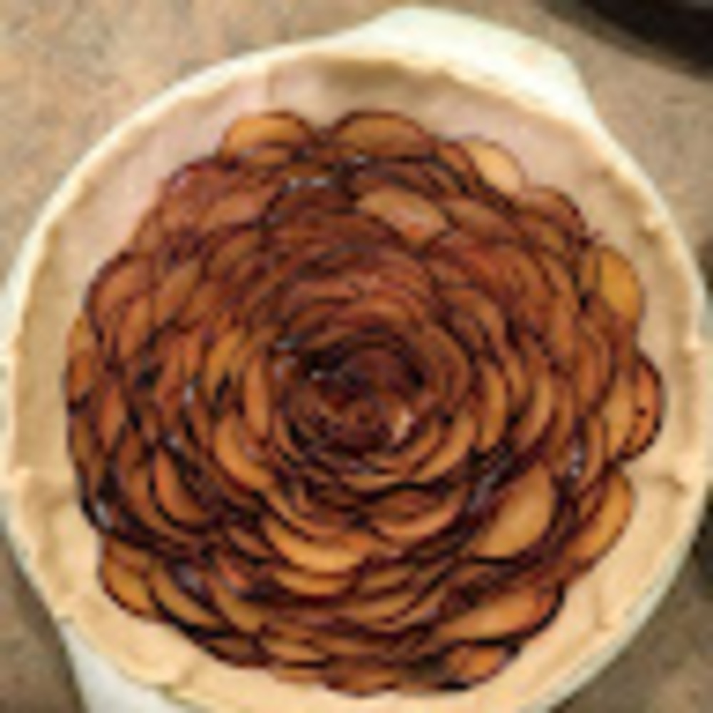 Meet your Posher, Andee